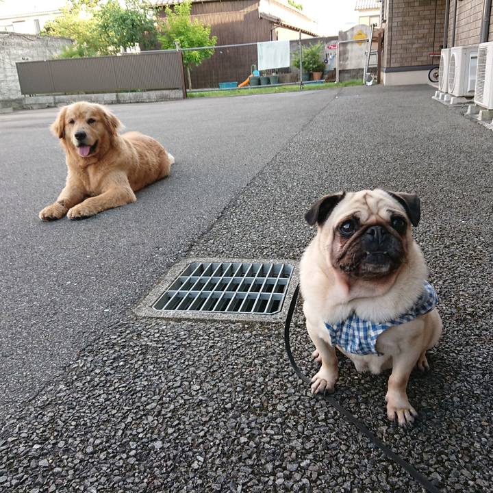 B0301ff4 edaf 4f3d 83a0 0a8091dec421 1624273585811