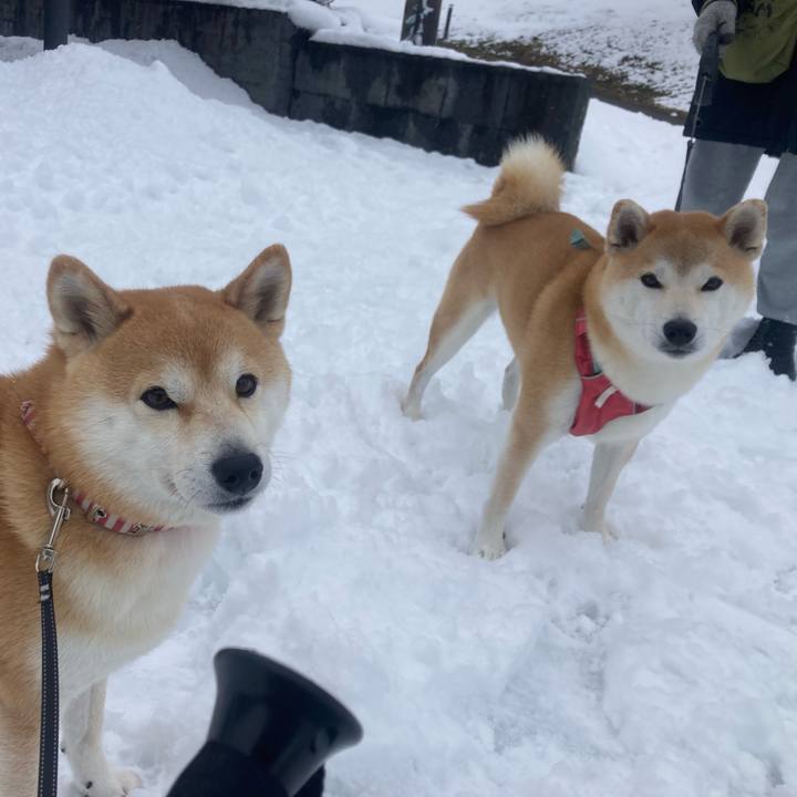 B030278f 75be 487b 9b05 230db1872e83 1736937189732