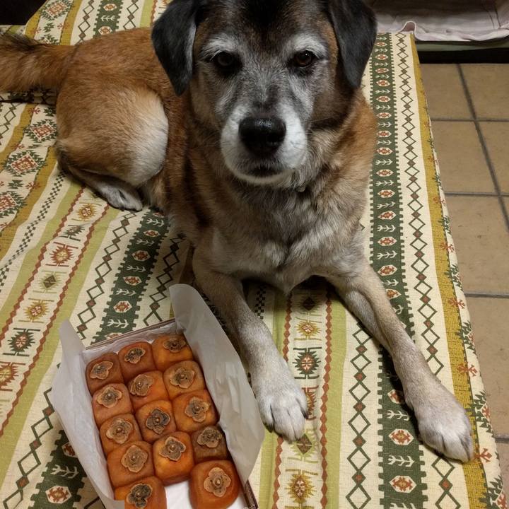 B0304a48 b02f 40a3 93d0 b88b39b1a336 1543144243588