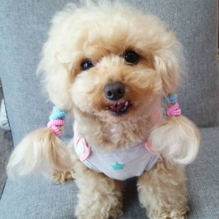 B0305401 695a 415e 86ac 74a7ad473819 1560557250893