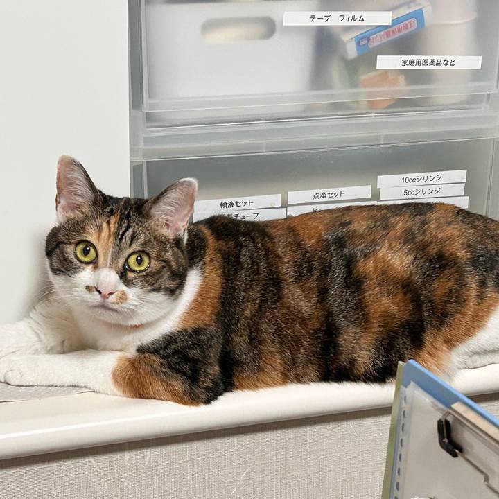 B0305ce3 adee 4fad a463 6142bca94444 1759257971672