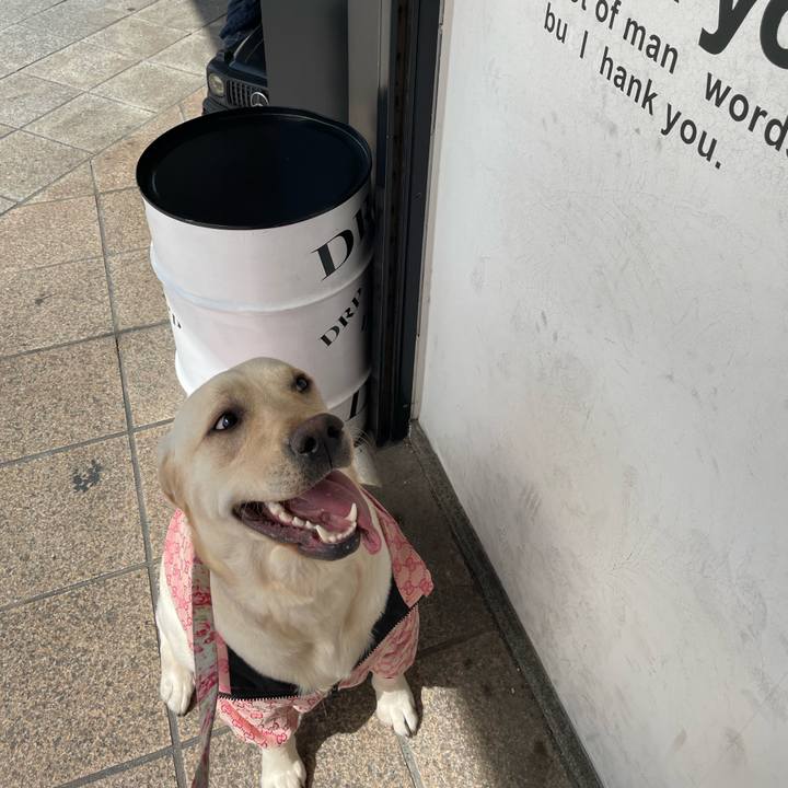 B03069c9 339d 410f bfbd 1e0d1db4cde1 1646208360608