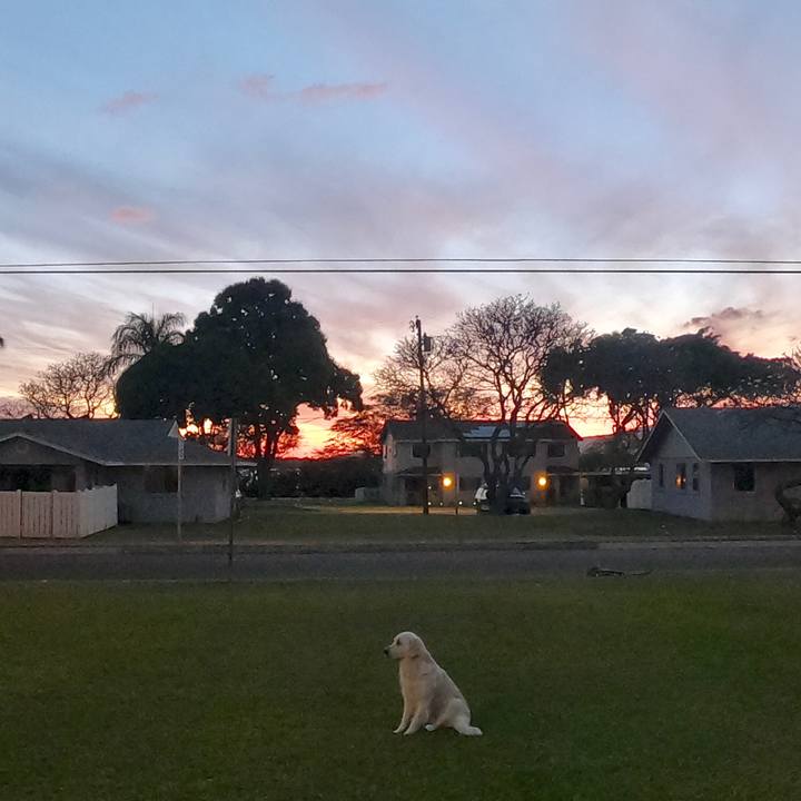 B0306c29 506f 473e 8e4a 08806e598e03 1553446584472