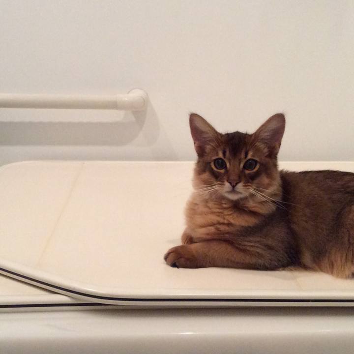 B030b5cd 75b1 49e1 b011 5c111d53a0fc 1574293520816