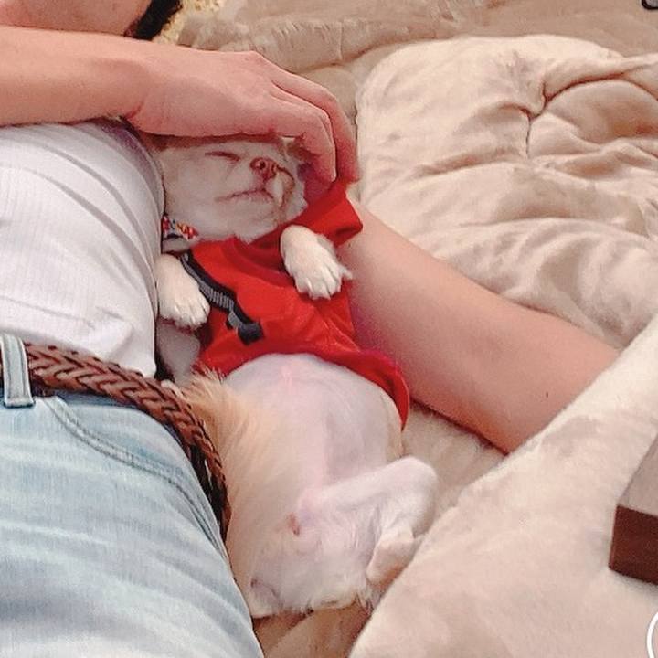 B030b8ba b38f 41e0 bb89 3b7448beeb38 1606021686532