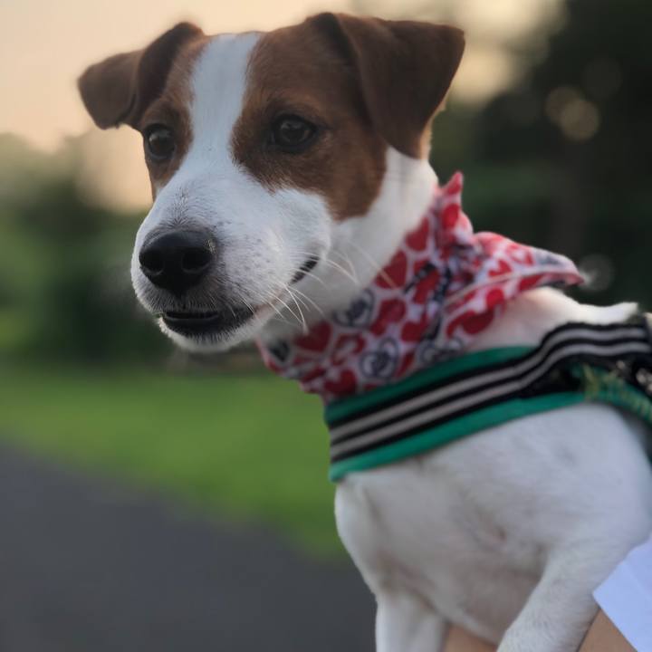 B030d99d 6e33 4883 a78c 6843e55868b5 1596673470597