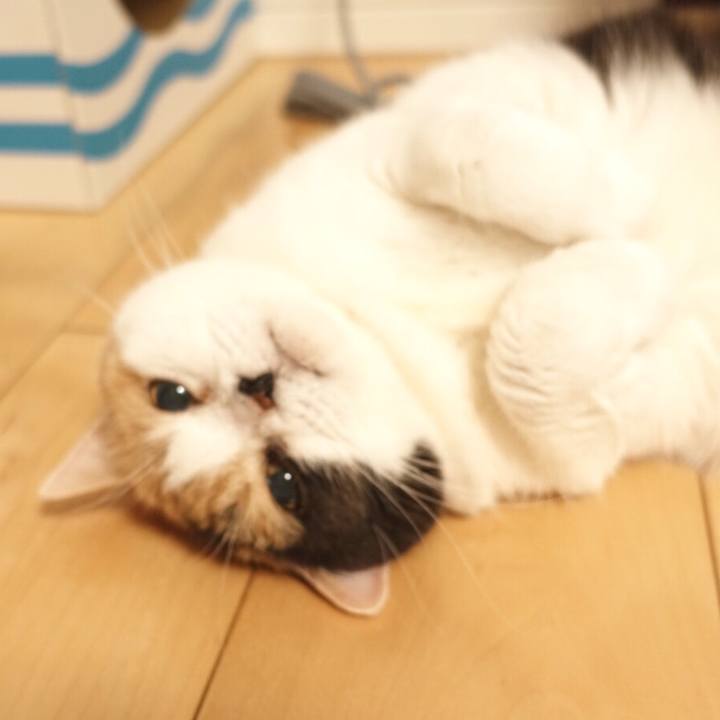 B030fe17 6630 4dfa b3e3 a6c02d529b5b 1557645888151