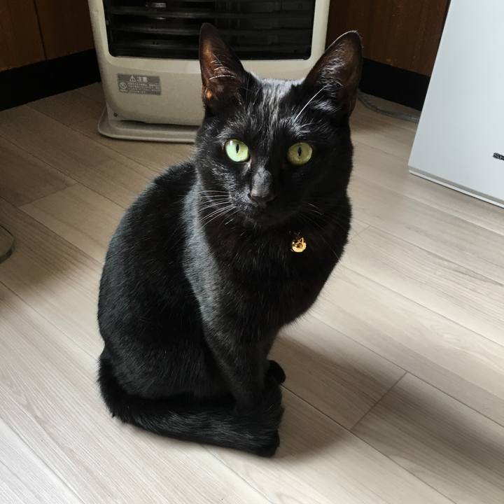 B0313754 b969 4b85 ac73 fa745049ef4d 1518413158161