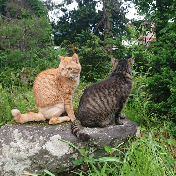 B0318085 23d1 450a aa59 95377b791468 1655247056997