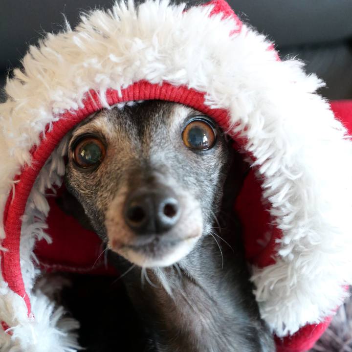 B031808f 3ad3 4948 b330 d79343f9efac 1767077726521