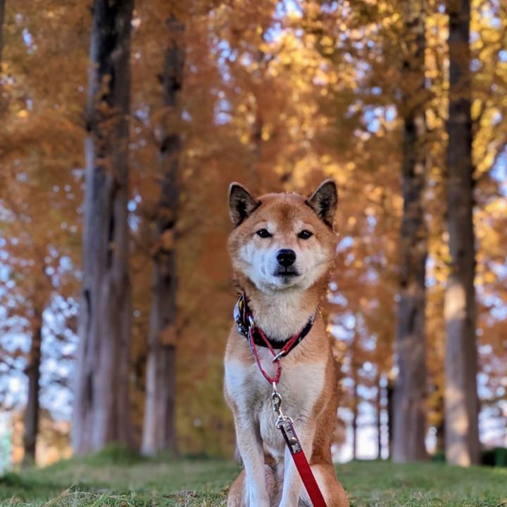 B031d00b 35c3 4f86 8671 d355db9c7eaa 1700523659511