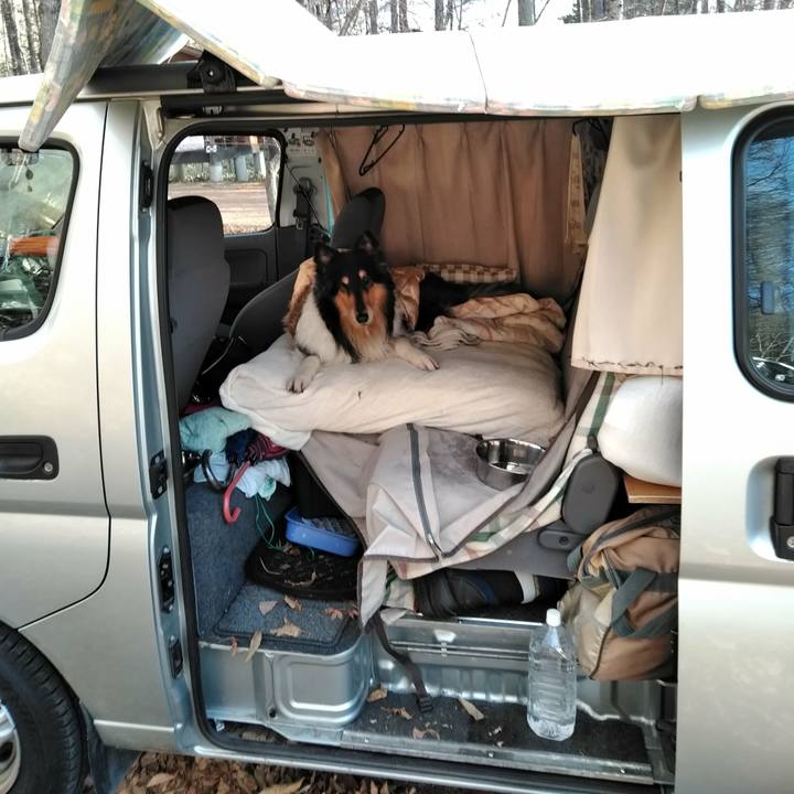 B031dbeb 2e2e 4a7e a0e3 a9dd3a3c20bb 1511709796973