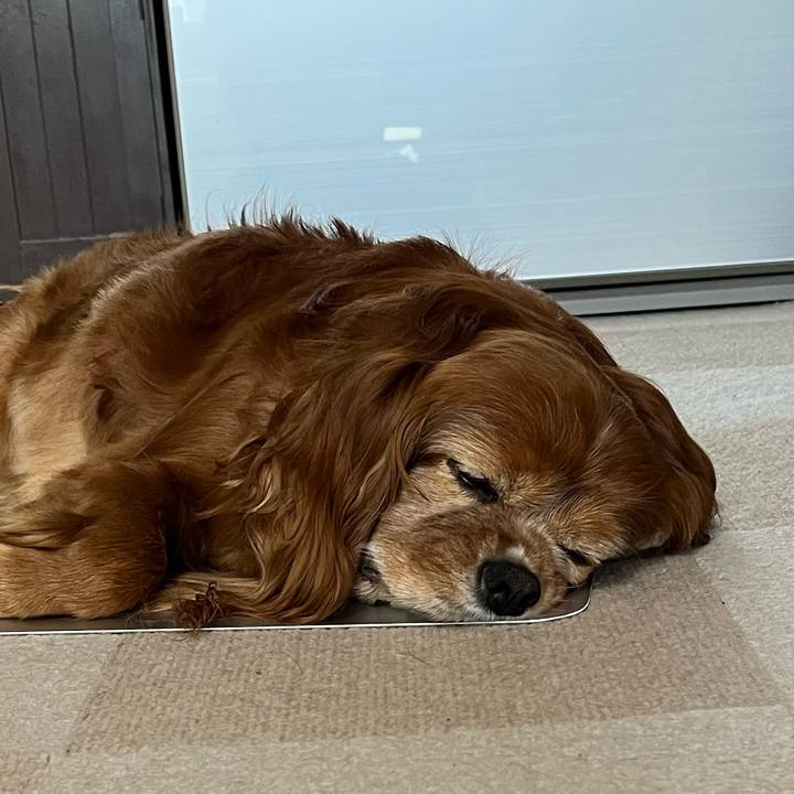 B0323b11 60bd 4e76 b174 bb69858341ca 1750371371177