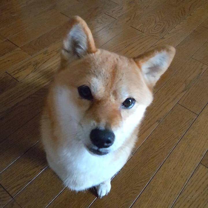 B0323fe6 8982 4618 aa6f 0abf1c5e87e8 1660617545907