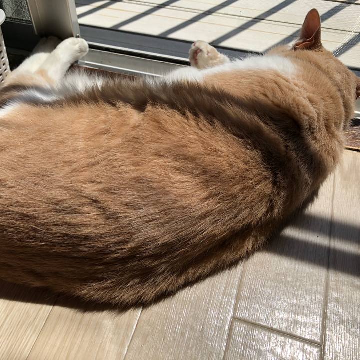 B0324d33 0999 4d36 898c 64e707cf15e0 1621732663022