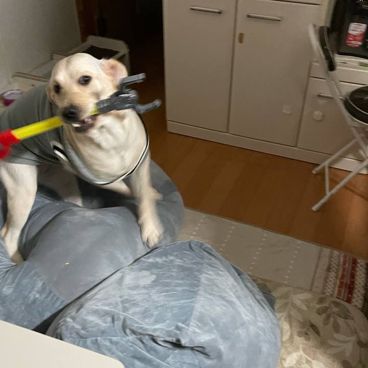 B032d7ac 5641 44cc 86f3 9a55e089015c 1641945925254