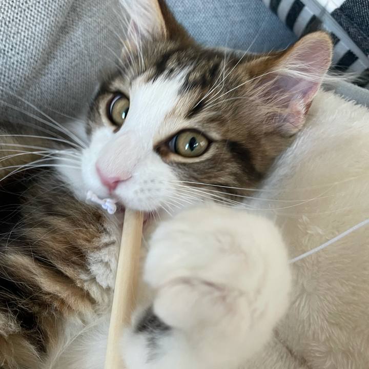 B0330c92 d310 4c14 a45a 0c2eb193373a 1633729086402