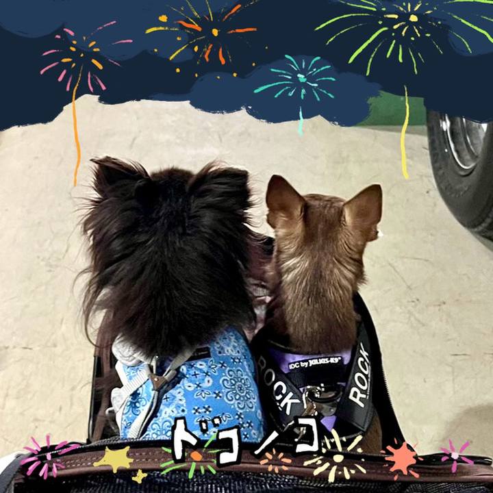 B033887f 3398 4f28 adaa 237541e4c8f3 1723348826604