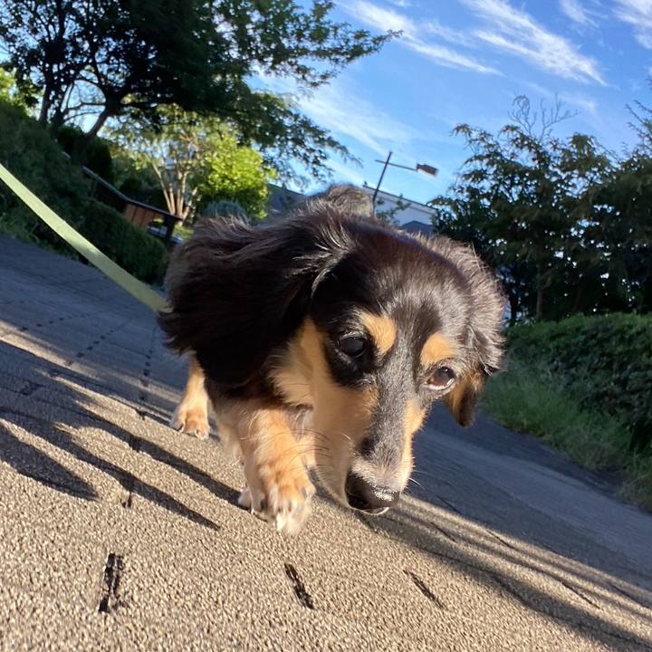 B0338a42 803e 4185 aeaf c48504d6440b 1693546565899