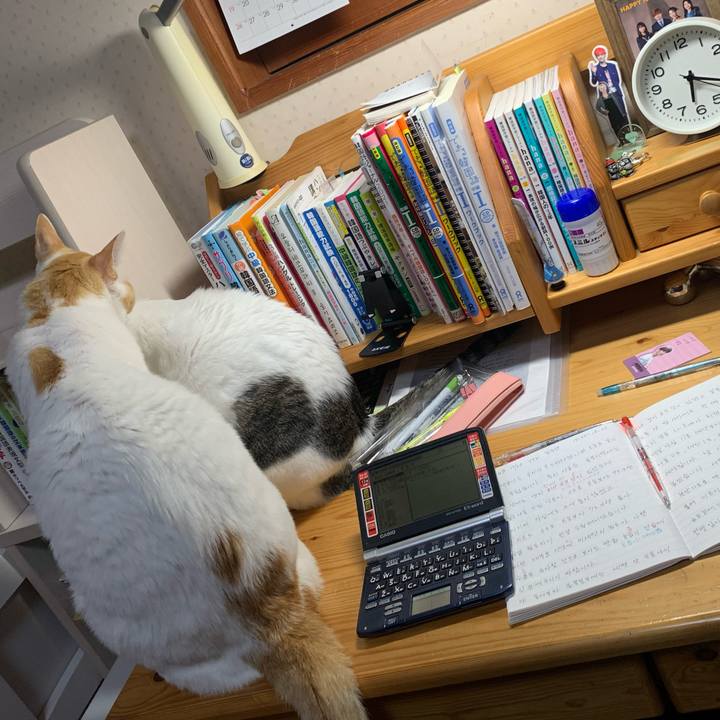 B03395b7 90ff 43e2 92b9 15ecf7a32946 1640867476308