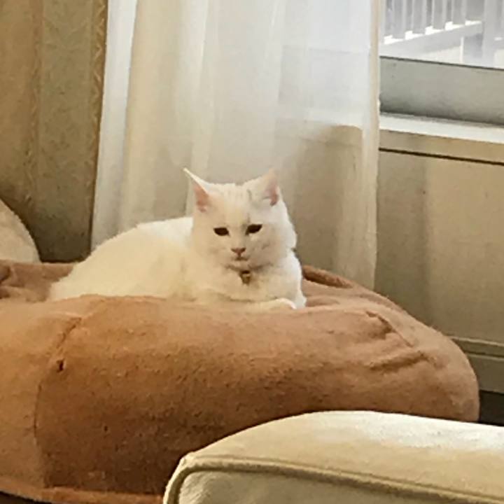 B033a6a7 4c26 401e 9b7c 2620fb7ae66d 1511954996947