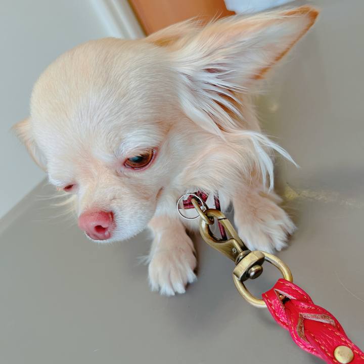 B033d33c 1ff6 44e8 a1b2 d42b791999e6 1651816972392