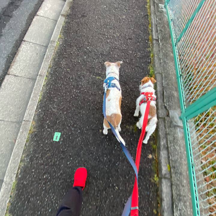 B033eb3c 6eec 4c27 9ade 4c1d55426760 1673137329116