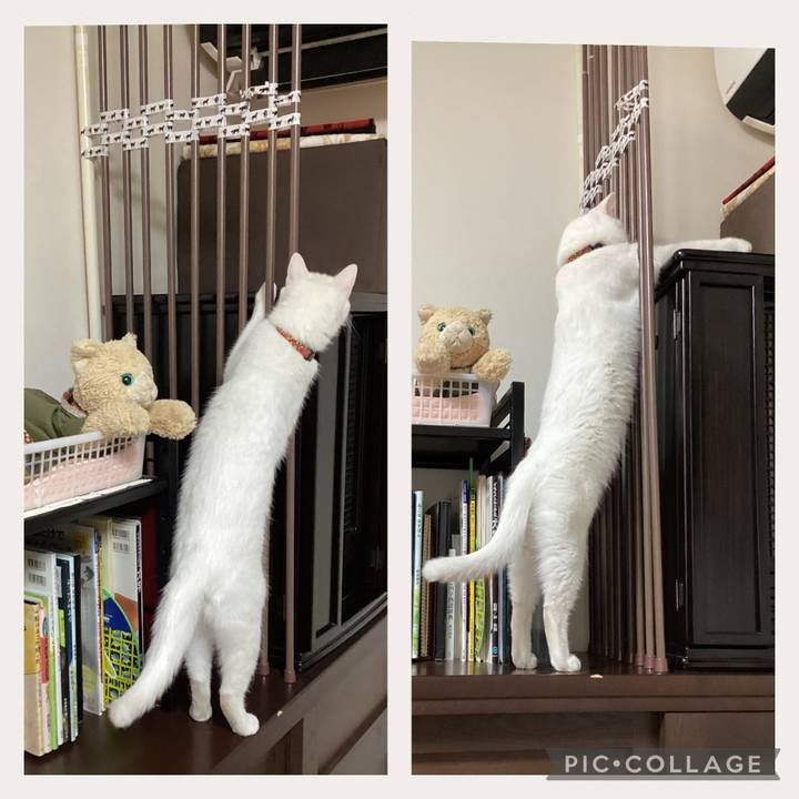 B0342548 1ba3 454b 8024 facc10d35f81 1676259827461