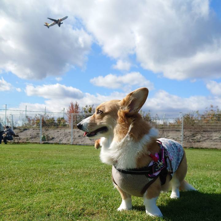 B034330e ec5b 4e45 a1a6 54d472d07288 1760845347779