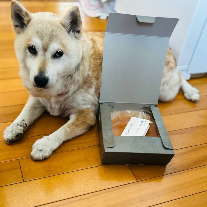 B0345e54 c9f3 4e6d 8b65 30b87982a921 1749087965288