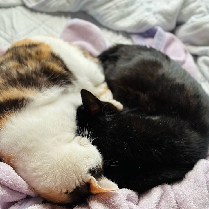 B0347a66 d7dc 49fb afe5 54e122037624 1697589463737