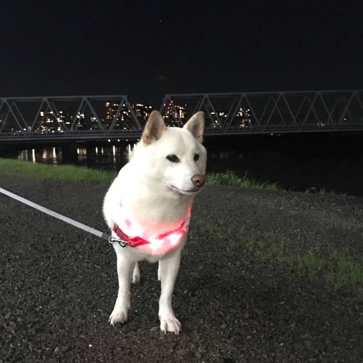 B03490d7 d4fd 4623 8717 84ea6cbc1877 1509284174159