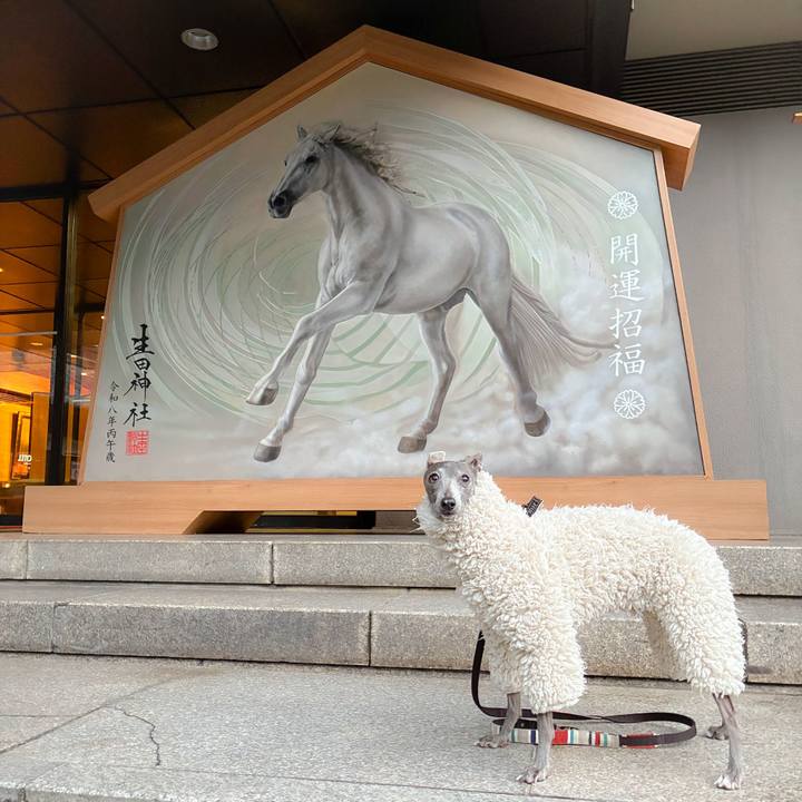 B03499b2 1f2d 411c b9c7 7fab699b8092 1767338659644