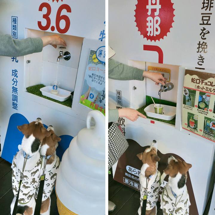 B035190e 578e 4f58 86c1 d860c3730c1a 1768565579751