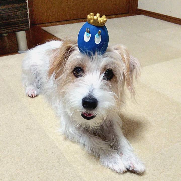 B03541f9 1db1 41f1 95c3 4d913feb07d2 1571493874270