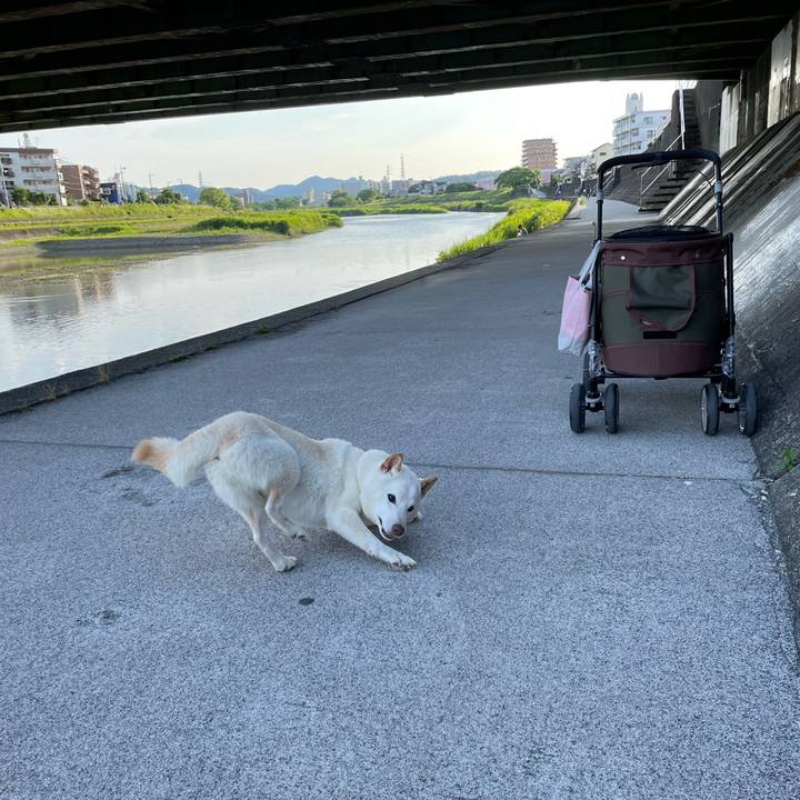 B0358a64 ece4 4453 bce6 f352045be87d 1654613721857