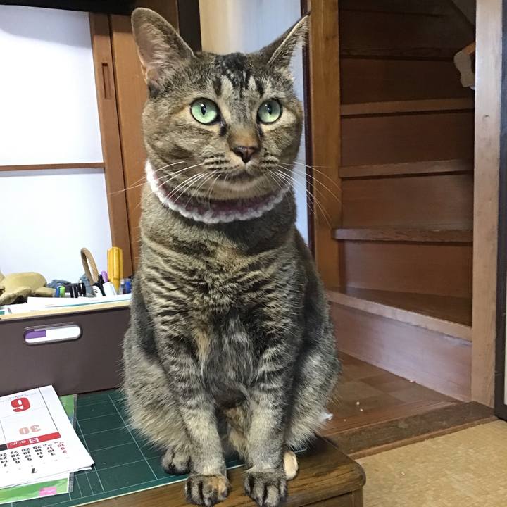 B0358bb0 f4df 41aa 8ce8 94f66f2da84f 1693570904312