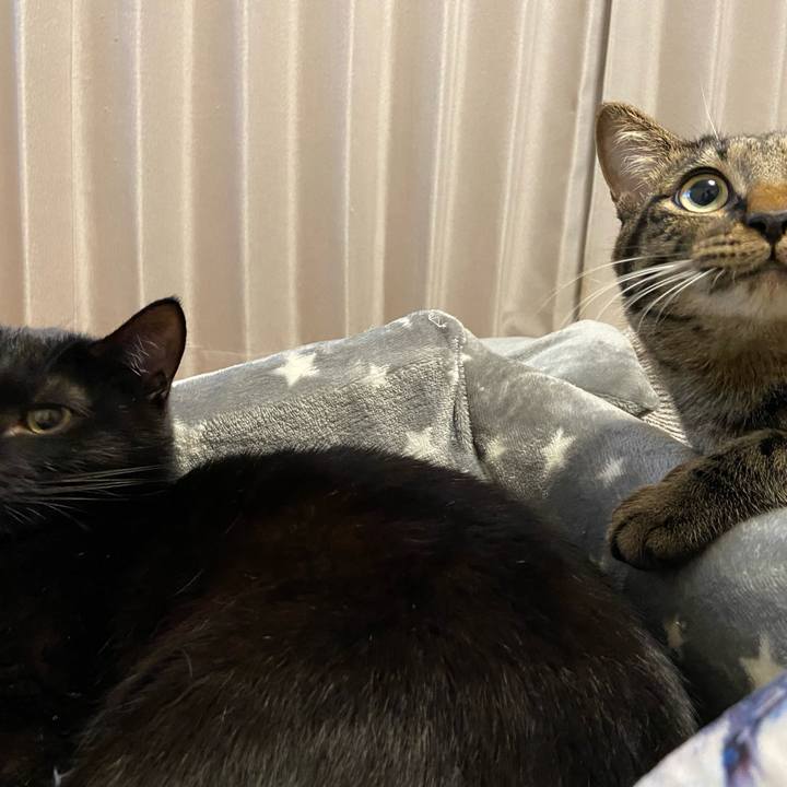 B035a1ae 76d9 4e5a 9e44 e1fc29ee8e06 1639569123919