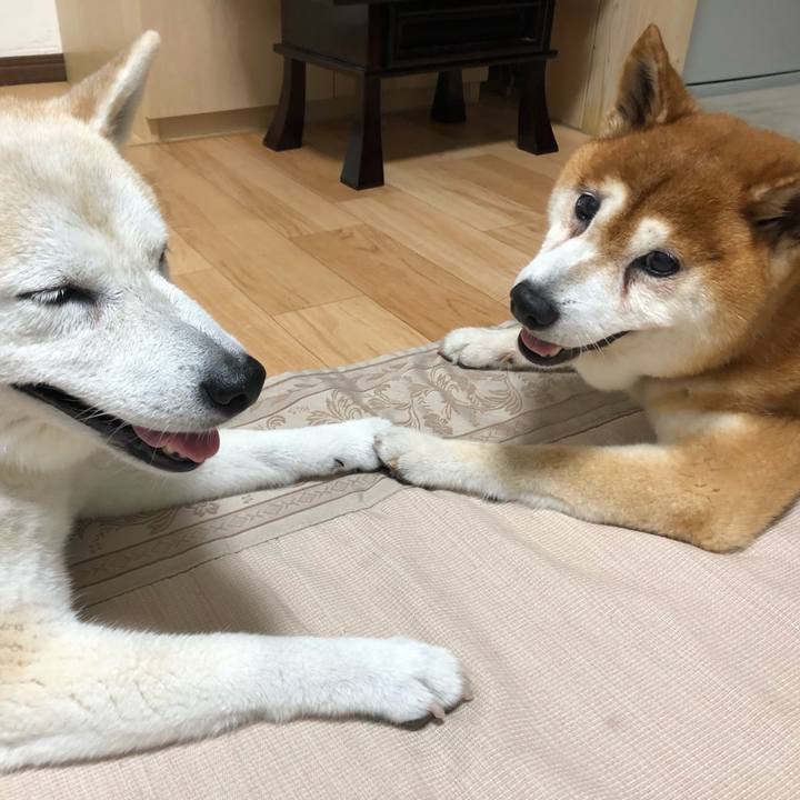 B035a6ef eda4 4ba3 bf8c bd4f859ff1ff 1565935395363