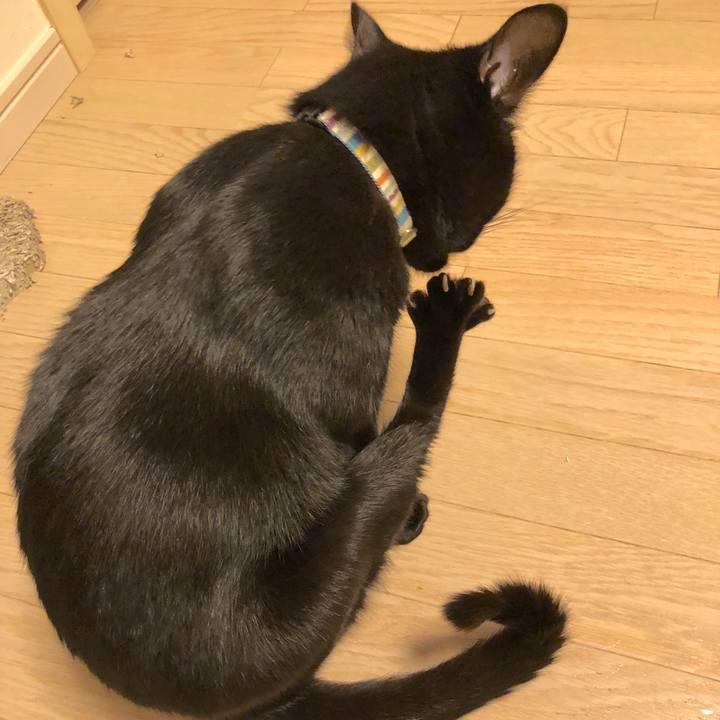 B035b91e 9b15 485f a476 94e107e8ae09 1514895470144