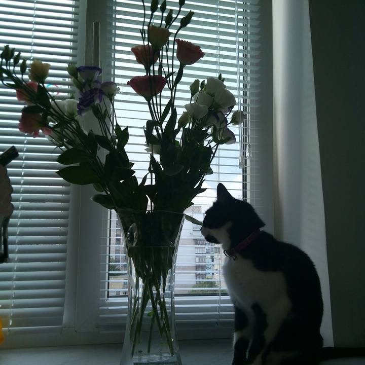 B035bee4 cb42 4d50 8f53 569fccc50f2c 1532785052397