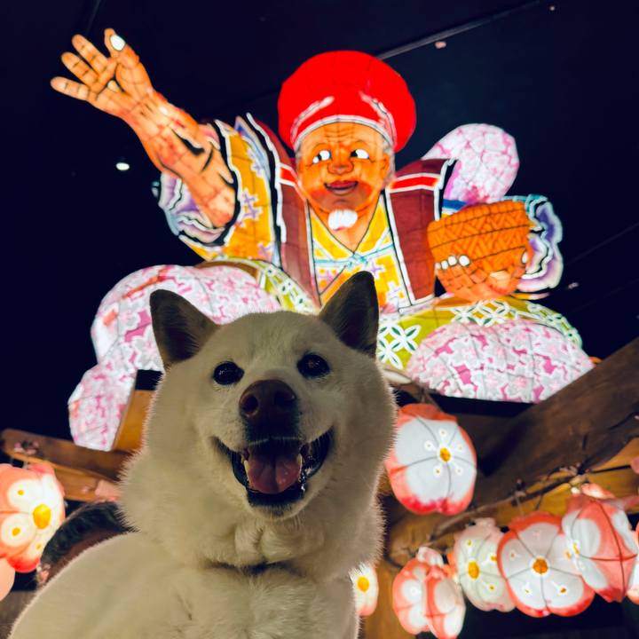 B035c163 2b64 4144 9ffd bd9f29e00618 1713588333406