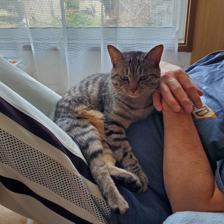 B035d5ae d121 41bf 9539 02910eb5f477 1714475306708