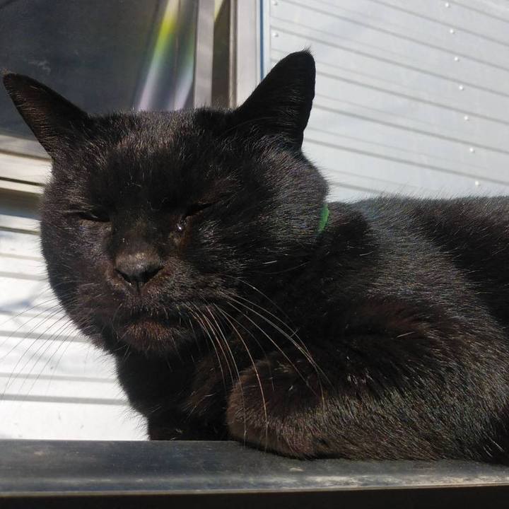 B035f5be af33 4a56 b5e0 75599e89711a 1579581182668