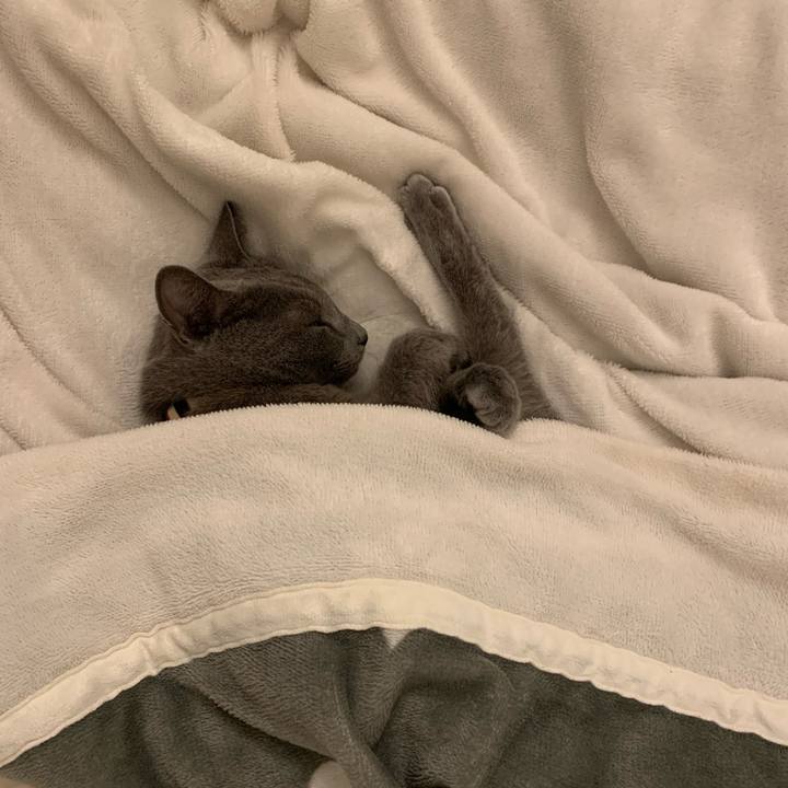 B0360238 bd2b 4a61 a88b f9d7ec990fd0 1665357949495