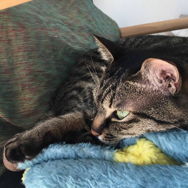 B036119d 4be2 47ba 8781 fdba231ba571 1549417929756