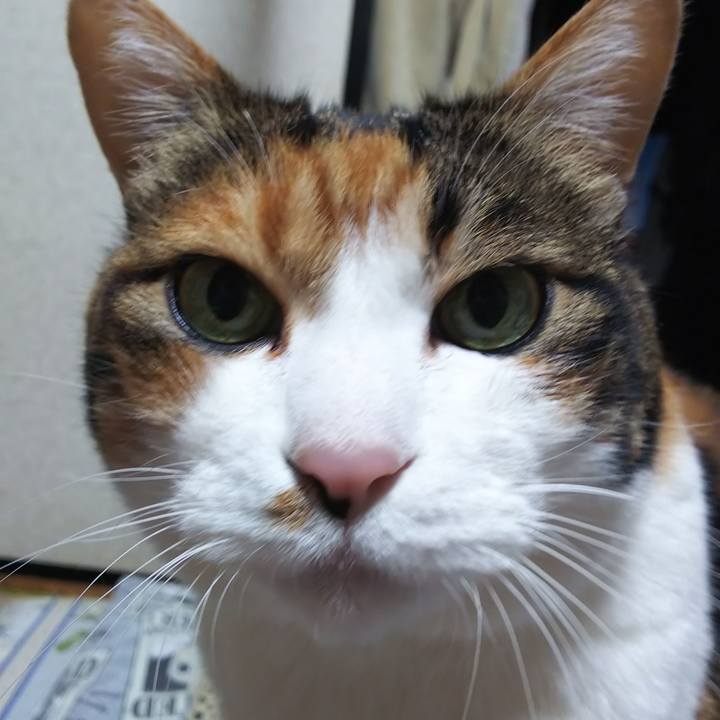 B03622d3 e031 4e83 b077 c9ef482861a3 1576446055523