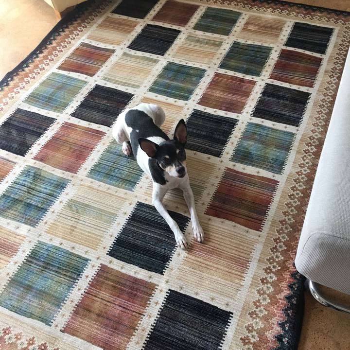 B0363aad bb0e 4962 9673 58168ec39537 1507799345411