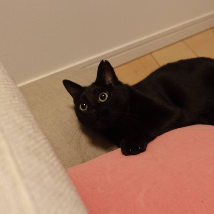 B0363b3d fcbb 4c4b 81d0 9d037d29e289 1535629111017