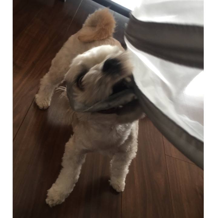 B0365da1 331c 4168 bb1e 23d3d0af4620 1520671868161